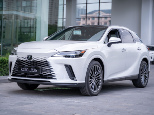 Lexus RX thich nghi voi moi dieu kien duong sa