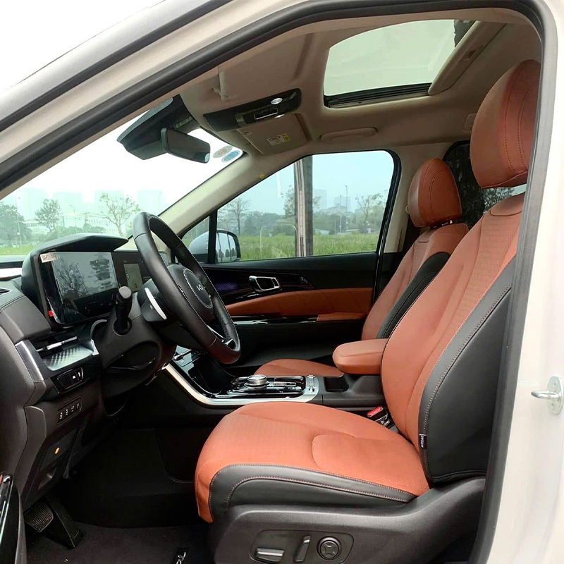 Kia Carnival 10